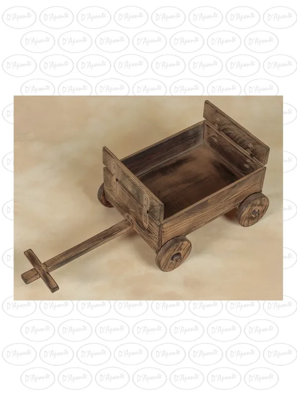 D'APONTE NEWBORN NB093 CART | D'Aponte | Newborn Accessories