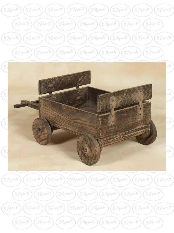 D'APONTE NEWBORN NB093 CART | D'Aponte | Newborn Accessories