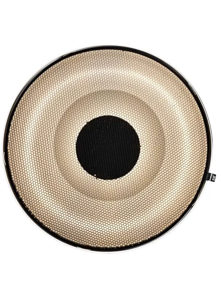 PROFOTO Softlight, Grid 515mm | D'Aponte | Parables 2