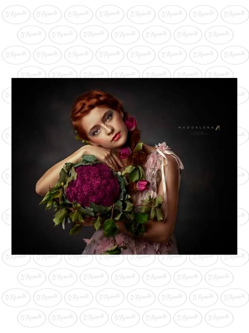 D'APONTE CANVAS BACKDROP PR 12-927 | D'Aponte | Premium Backdrops - PR