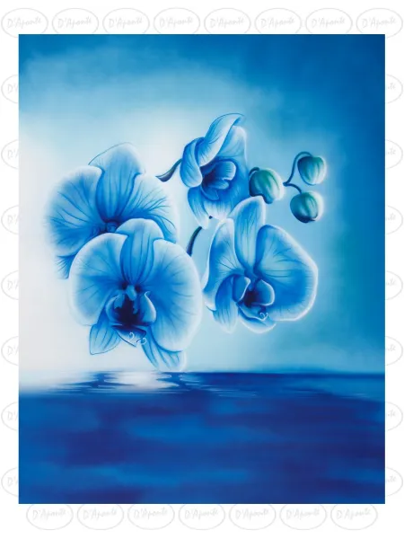 D'APONTE CANVAS BACKDROP SB 12-284-M | D'Aponte | Offers 2