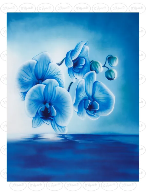 D'APONTE CANVAS BACKDROP SB 12-284-M | D'Aponte | Offers