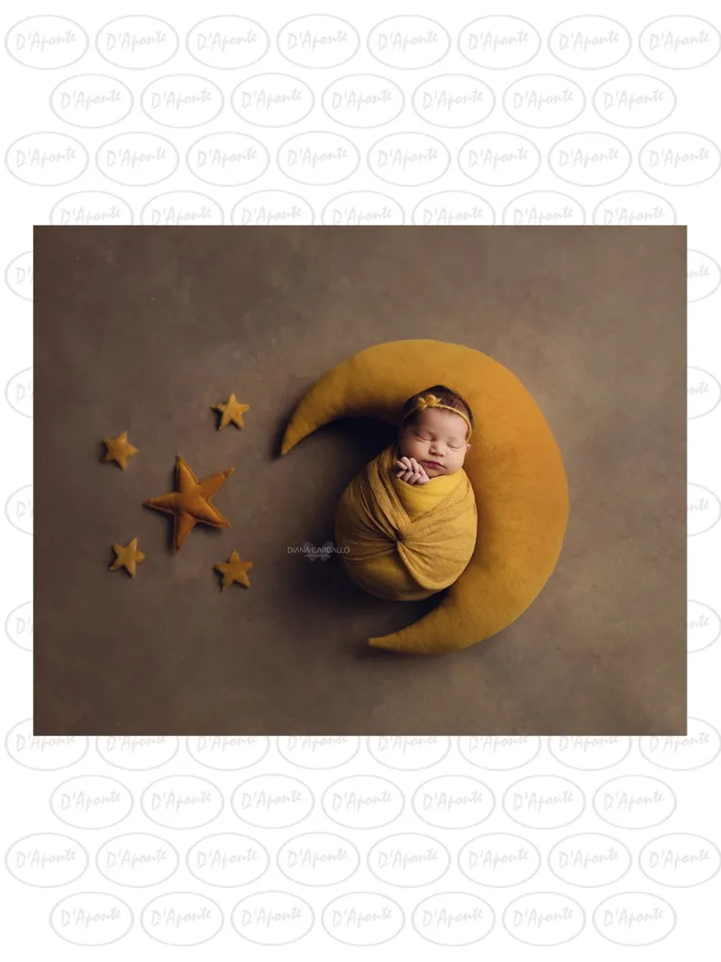 D'APONTE CANVAS BACKDROP PR 12-923 | D'Aponte | Premium Backdrops - PR
