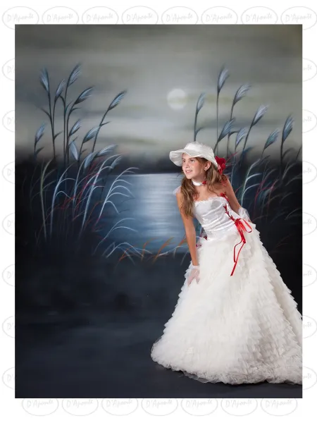 D'APONTE CANVAS BACKDROP SB 10-217-M | D'Aponte | Offers