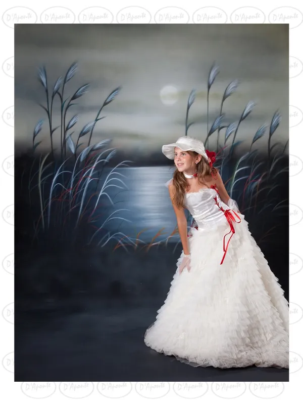 D'APONTE CANVAS BACKDROP SB 10-217-M | D'Aponte | Offers