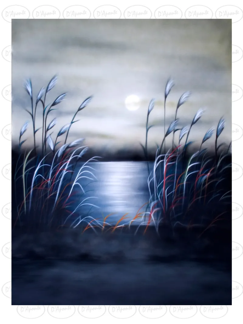D'APONTE CANVAS BACKDROP SB 10-217-M | D'Aponte | Offers