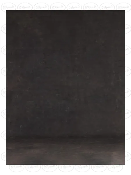 D'APONTE PRINTED CANVAS BACKDROP PRS 12-1005 | D'Aponte | Premium Backdrops - PR Printed 2