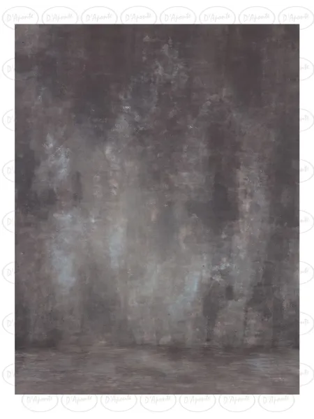D'APONTE PRINTED CANVAS BACKDROP PRS 12-1017 | D'Aponte | Premium Backdrops - PR Printed