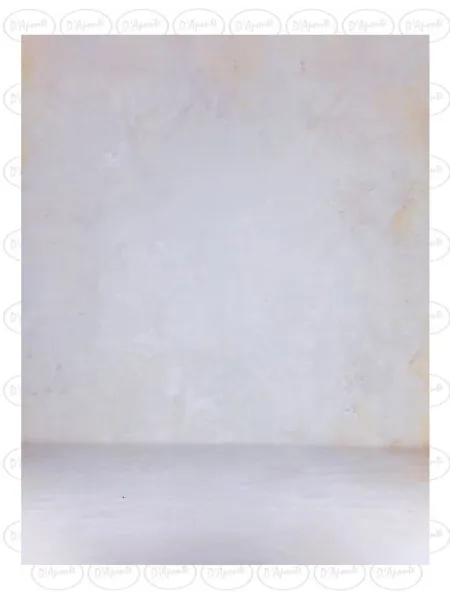 D'APONTE PRINTED CANVAS BACKDROP PRS 12-1024 | D'Aponte | Premium Backdrops - PR Printed