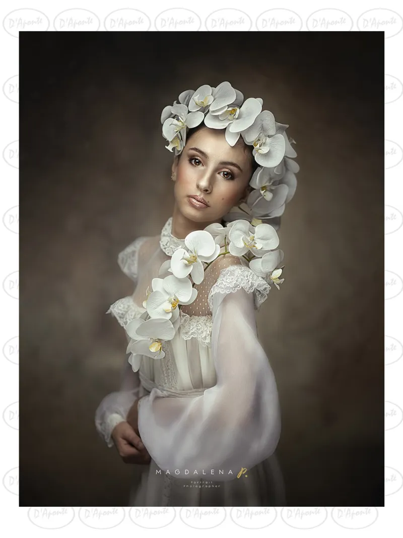 D'APONTE CANVAS BACKDROP PR 12-1001 | D'Aponte | Premium Backdrops - PR