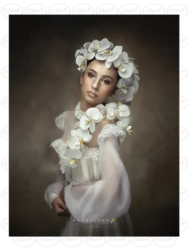 D'APONTE CANVAS BACKDROP PR 12-1001 | D'Aponte | Premium Backdrops - PR