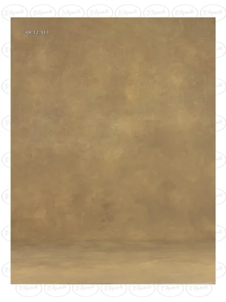 D'APONTE CANVAS BACKDROP PR 12-911 | D'Aponte | Premium Backdrops - PR 2