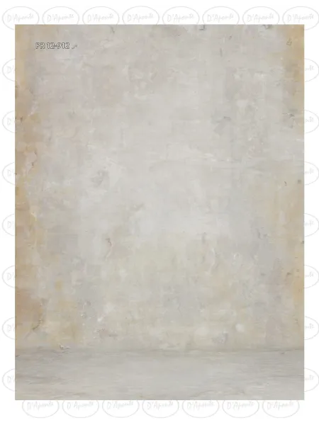 D'APONTE CANVAS BACKDROP PR 12-912 | D'Aponte | Premium Backdrops - PR 2