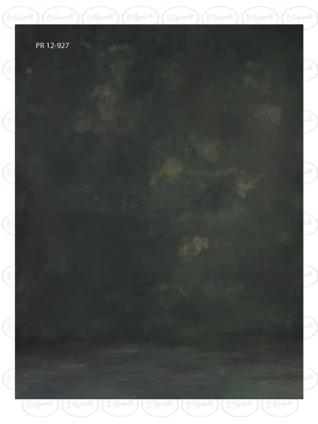 D'APONTE CANVAS BACKDROP PR 12-927 | D'Aponte | Premium Backdrops - PR 2