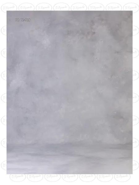 D'APONTE CANVAS BACKDROP PR 12-928 | D'Aponte | Premium Backdrops - PR 2