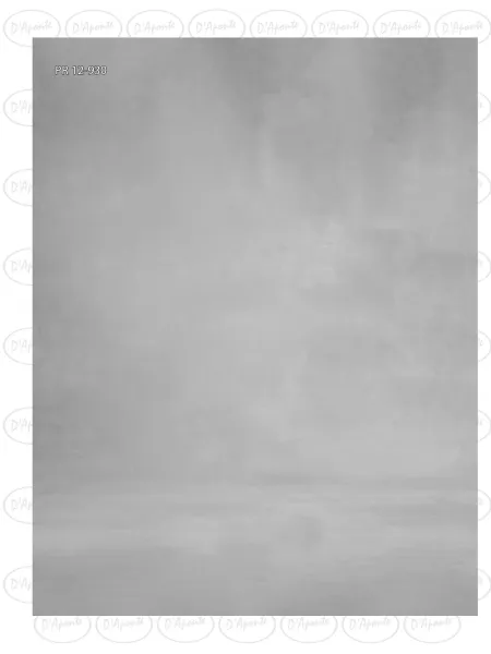 D'APONTE CANVAS BACKDROP PR 12-930 | D'Aponte | Premium Backdrops - PR