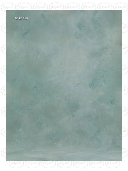 D'APONTE CANVAS BACKDROP PR 12-939 | D'Aponte | Premium Backdrops - PR 2