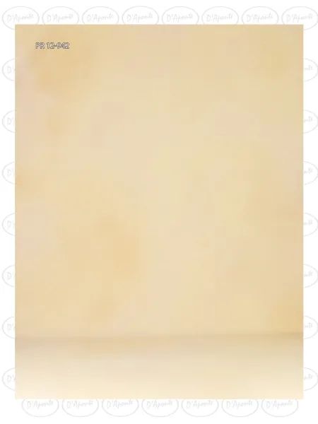 D'APONTE CANVAS BACKDROP PR 12-942 | D'Aponte | Premium Backdrops - PR 2