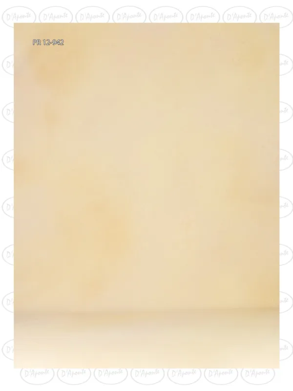 D'APONTE CANVAS BACKDROP PR 12-942 | D'Aponte | Premium Backdrops - PR