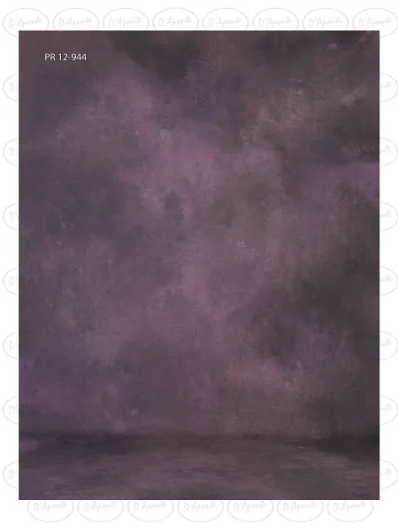 D'APONTE CANVAS BACKDROP PR 12-944 | D'Aponte | Premium Backdrops - PR 2