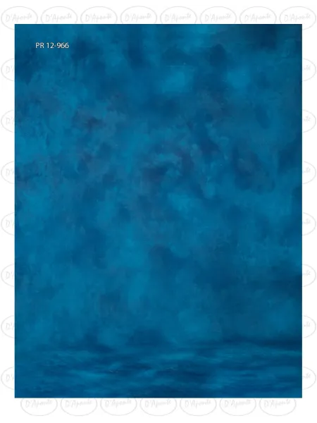 D'APONTE CANVAS BACKDROP PR 12-966 | D'Aponte | Premium Backdrops - PR 2