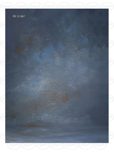 D'APONTE CANVAS BACKDROP PR 12-987 | D'Aponte | Premium Backdrops - PR 2