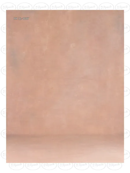D'APONTE CANVAS BACKDROP PR 12-1007 | D'Aponte | Premium Backdrops - PR 2