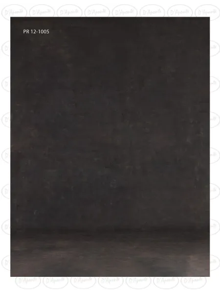 D'APONTE CANVAS BACKDROP PR 12-1005 | D'Aponte | Premium Backdrops - PR 2