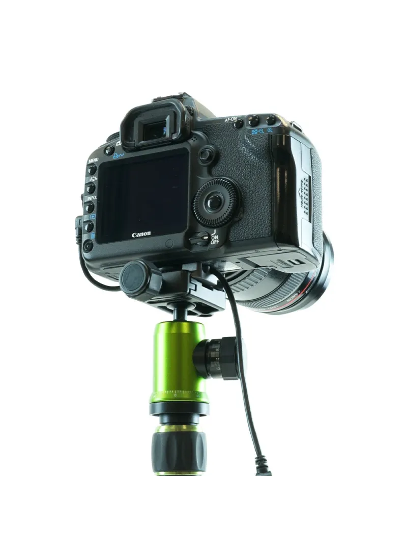 SPIDER CAMERA HOLSTER Tether Cable Plate | D'Aponte | Shoulder, Camera Strap and Accessories
