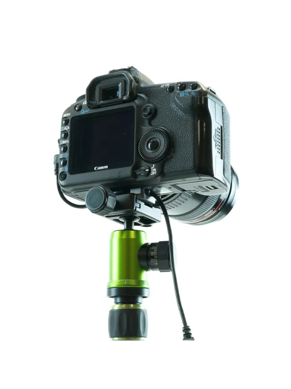 SPIDER CAMERA HOLSTER Tether Cable Plate | D'Aponte | Shoulder, Camera Strap and Accessories