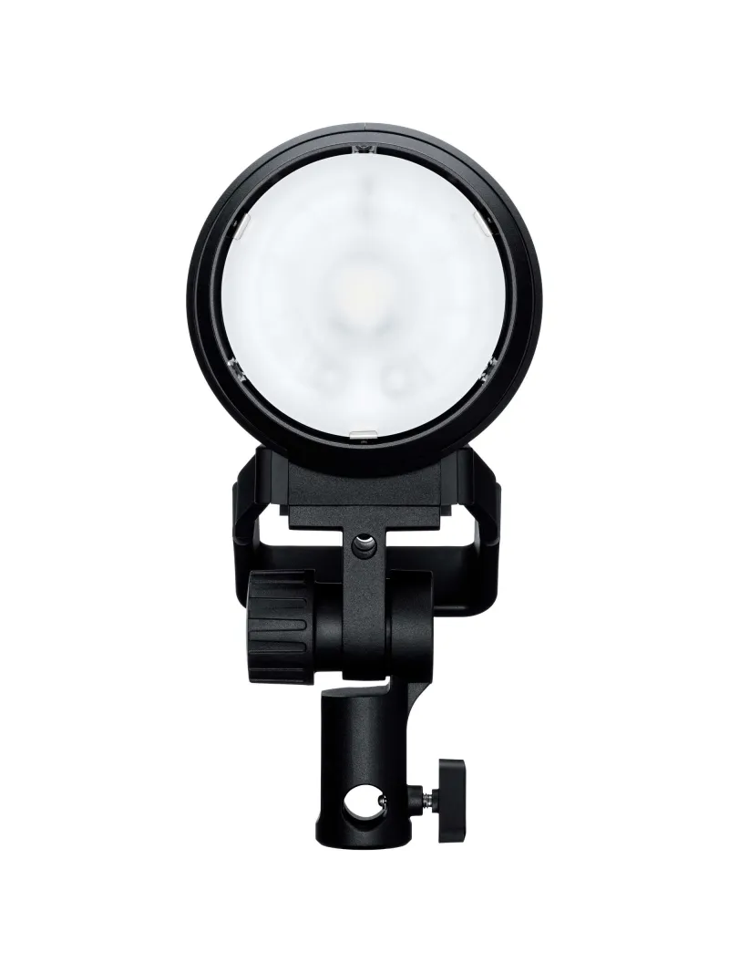 PROFOTO PRO-D3 1250