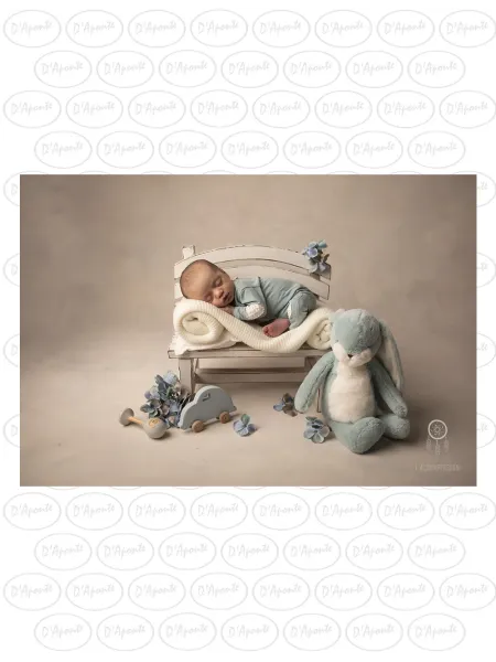 D'APONTE NEWBORN NB096 BENCH | D'Aponte | Newborn Accessories
