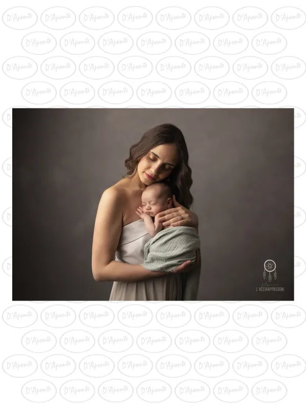 D'APONTE CANVAS BACKDROP PR 12-1029 | D'Aponte | Premium Backdrops - PR