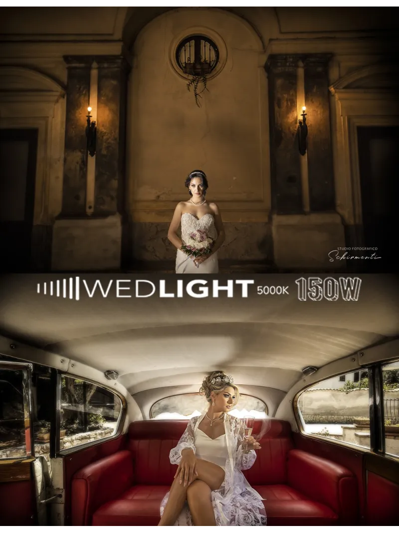 WedLight Torcia 150W-5000°K Luce Fredda