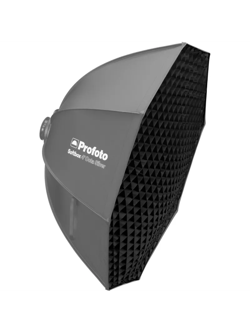 Vendita Profoto Softgrid 4' Octa