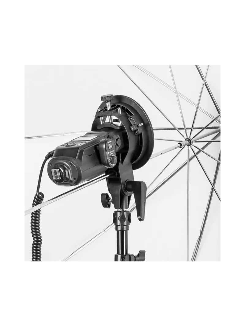 QUADRALITE SoftBox - Multiblitz “V” Adapter Ring | D'Aponte | Adapter Rings