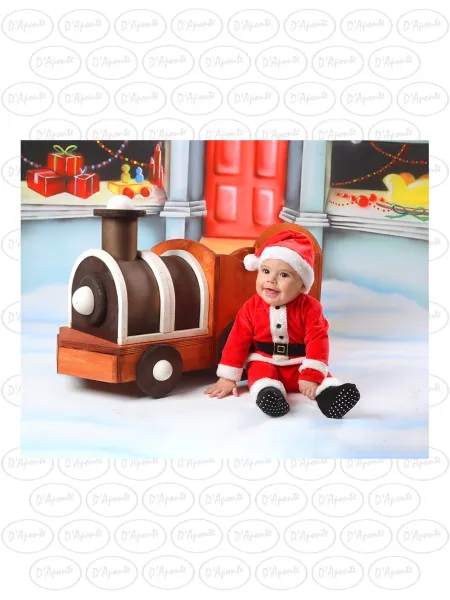 D'APONTE CHRISTMAS CANVAS BACKDROP SB 12-302 | D'Aponte | Scenographic – SB 2