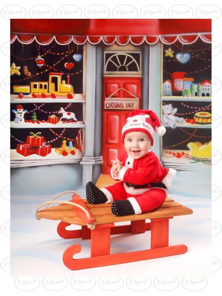 D'APONTE CHRISTMAS CANVAS BACKDROP SB 12-302 | D'Aponte | Scenographic – SB