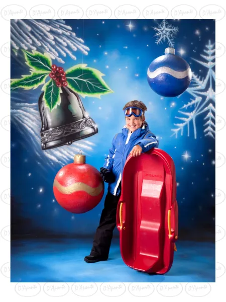 D'APONTE CHRISTMAS CANVAS BACKDROP SB 12-238 | D'Aponte | Scenographic – SB
