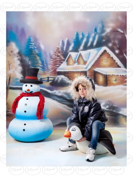 D'APONTE CHRISTMAS CANVAS BACKDROP SB 12-232 | D'Aponte | Scenographic – SB