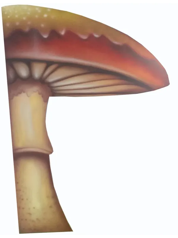 D'APONTE FUNGO IN LEGNO