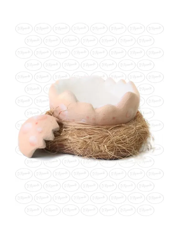 copy of .D'APONTE OYSTER WITHOUT PEARLS DEMO | D'Aponte | Offers