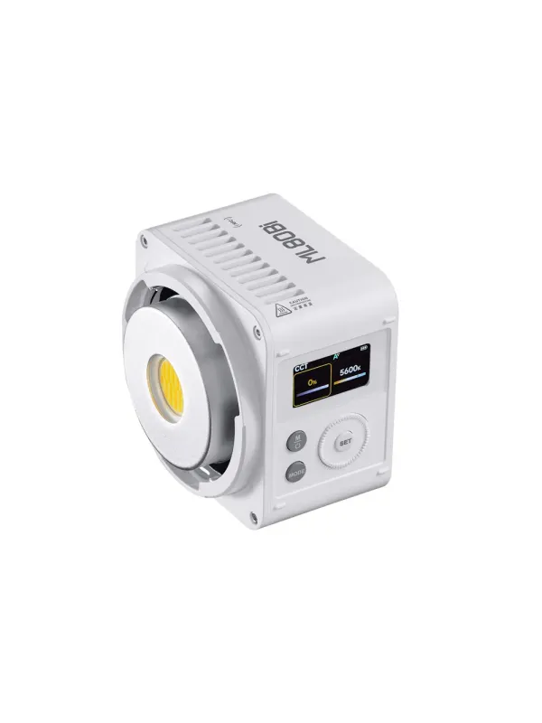 GODOX ML80Bi Bi-color LED Video Light Kit