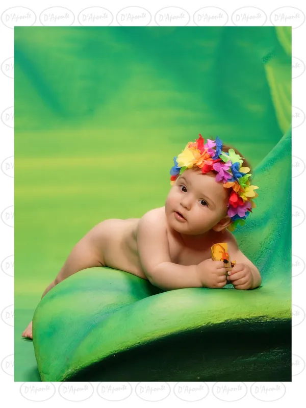 D'APONTE P126 GREEN LEAF | D'Aponte | Photo Props
