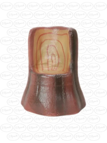 D'APONTE P144 TRUNK CHAIR | D'Aponte | Photo Props