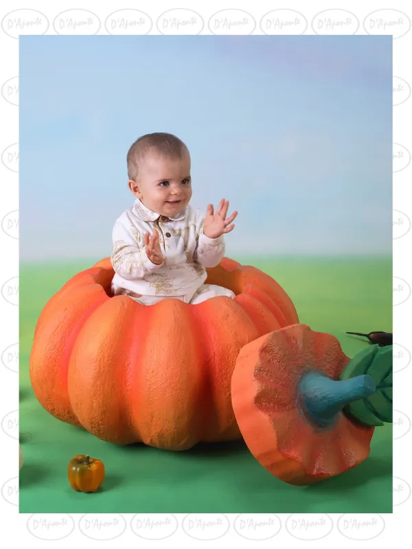 D'APONTE P147 ZUCCA