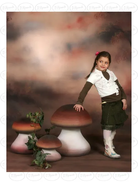 D'APONTE P200 THREE PORCINI MUSHROOMS KIT | D'Aponte | Photo Props