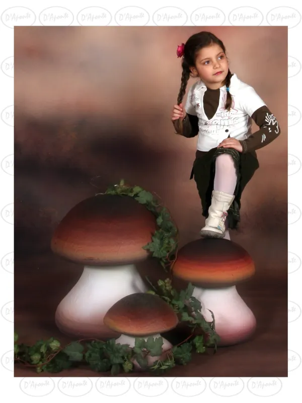 D'APONTE P200 THREE PORCINI MUSHROOMS KIT | D'Aponte | Photo Props
