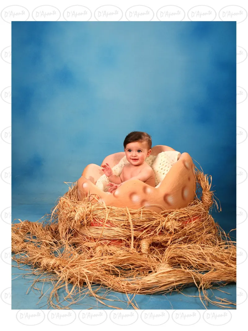 D'APONTE P202 NEST | D'Aponte | Photo Props