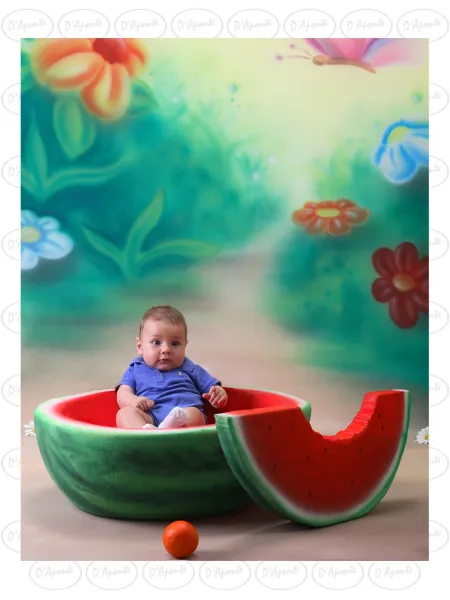 D'APONTE P203 WATERMELON | D'Aponte | Photo Props